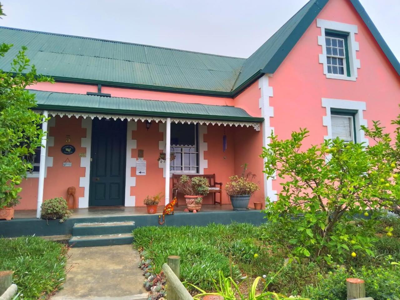 Lemontree Cottage Heidelberg  Kültér fotó